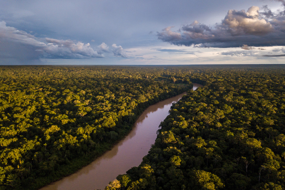 An aerial view of the rainforest showcases the forest with a river running through its middle.
