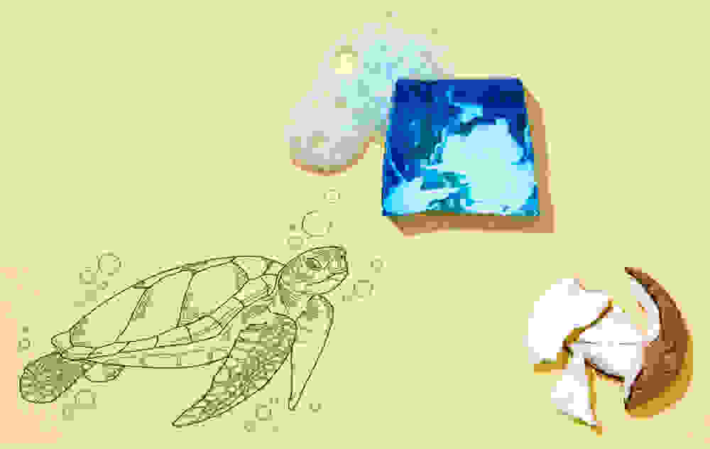 Image card - <h2><strong>Fresh skin </strong></h2><h2><strong>﻿and free turtles</strong></h2>